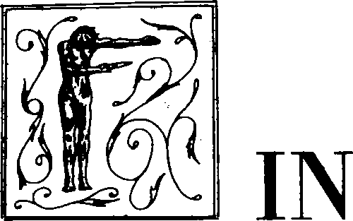 fig: Fin