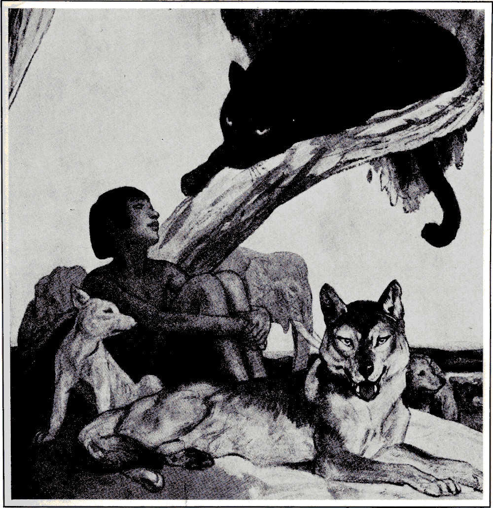 The animal passion